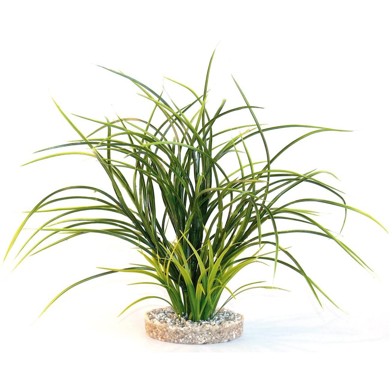 Sydeco-Erba naturale delle piante, 30 cm (confezione da 6) Sydeco-Erba naturale delle piante, 30 cm (confezione da 6)